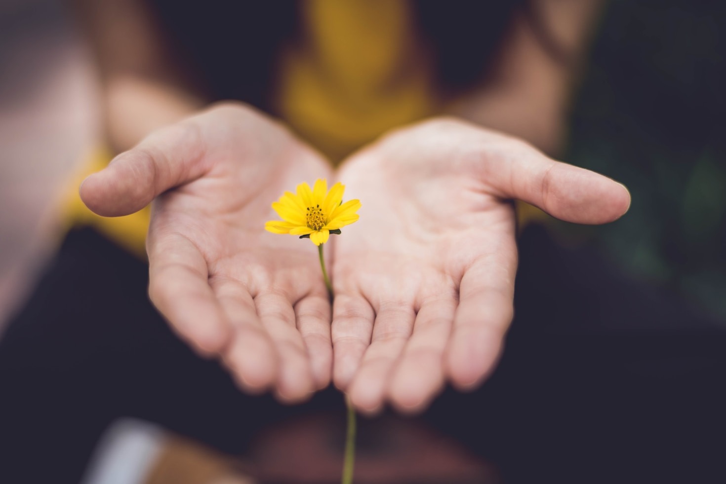 Mindfulness: En vej til professionel opfyldelse